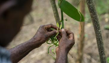 Where is the Next George Washington Carver? 