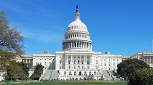 U.S. Capitol Dome