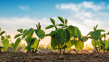 This Major Breakthrough Could Help Improve Global Food Supply