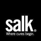 salk