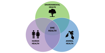 Stopping Outbreaks Through One Health