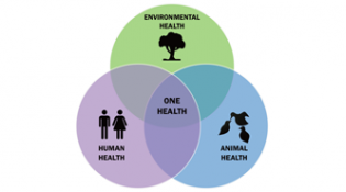 Stopping Outbreaks Through One Health